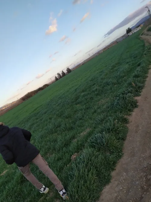 Vente Terrain Tébessa Tebessa