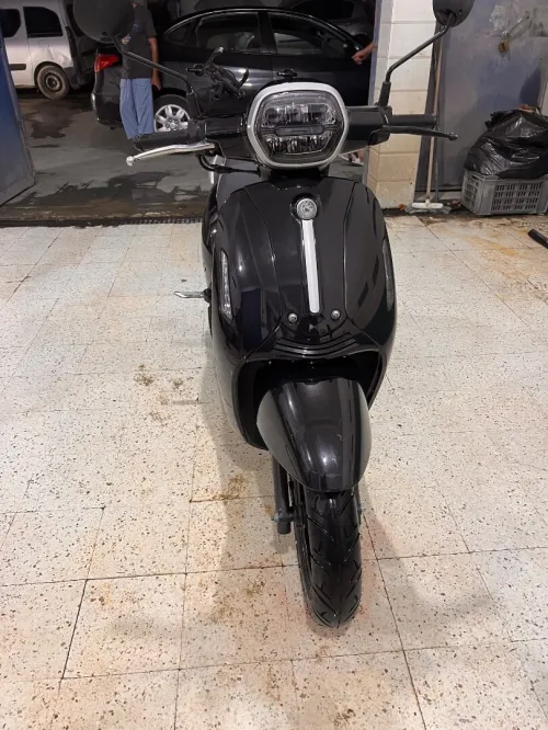 Vms Benilli panarya 2024