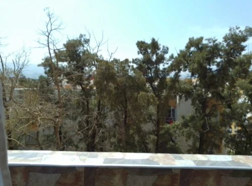 Vente Appartement F3 Blida Chebli