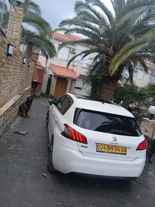 Peugeot 308 2014 Allure