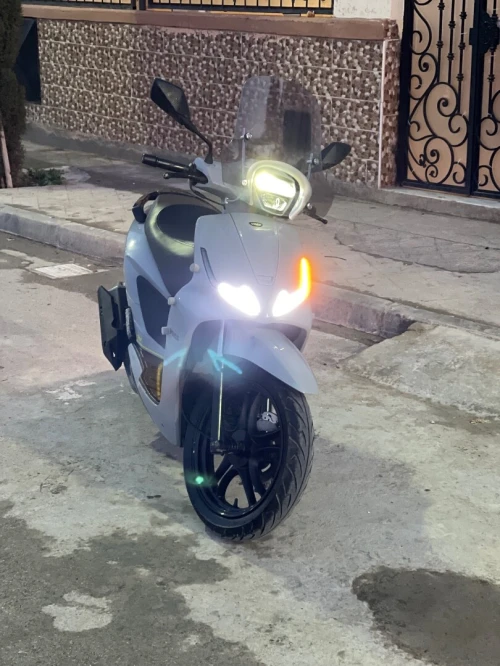 Vms coral Coral 2024