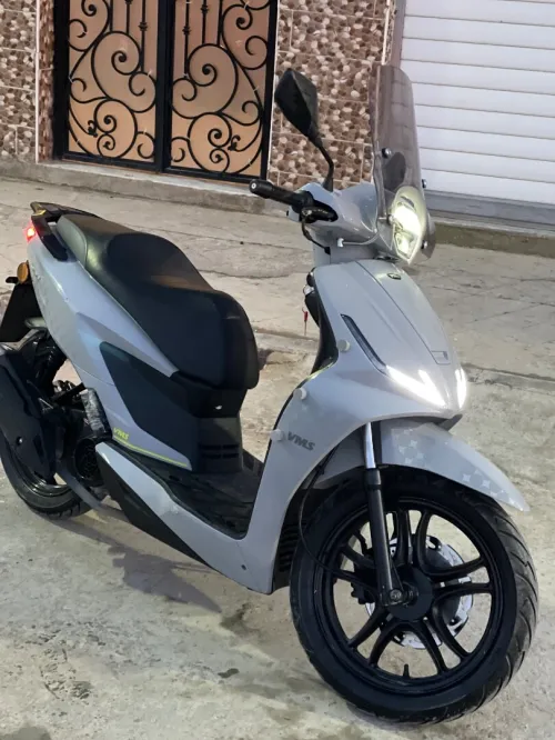 Vms coral Coral 2024