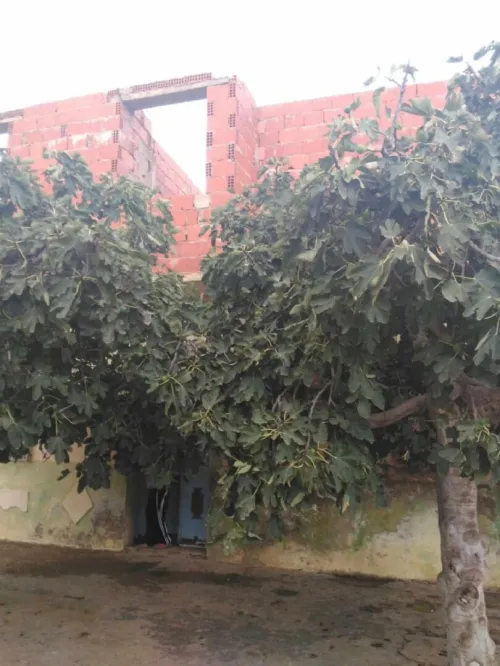 Vente Villa Aïn Témouchent Terga