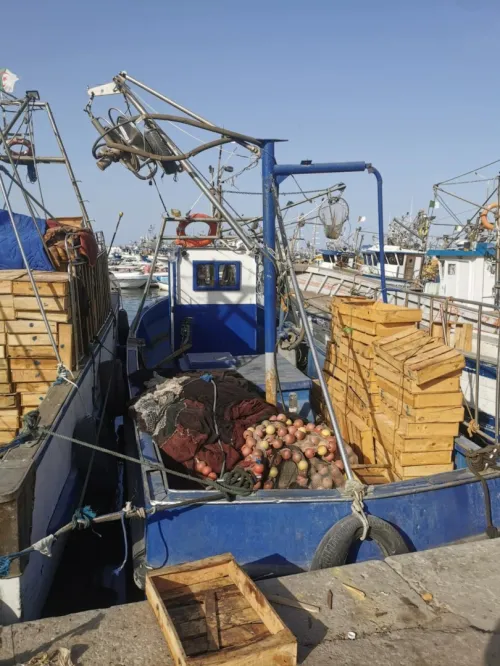 Bateau de pêche sardinier