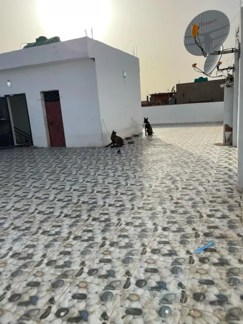 Vente Villa Oran El Kerma