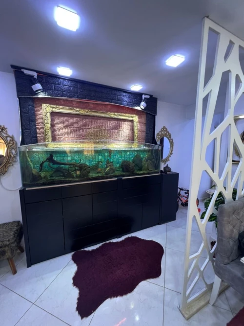 Vente Appartement F3 Alger Baba hassen