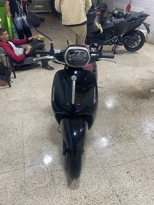 Benelli Panarea 2025