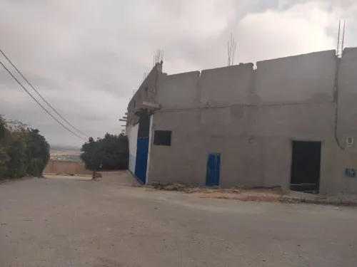 Vente Hangar Tlemcen Tlemcen