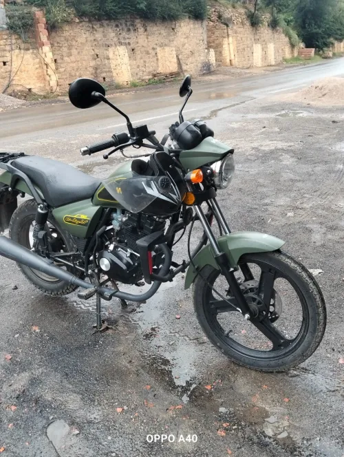 Vms Vms 2024