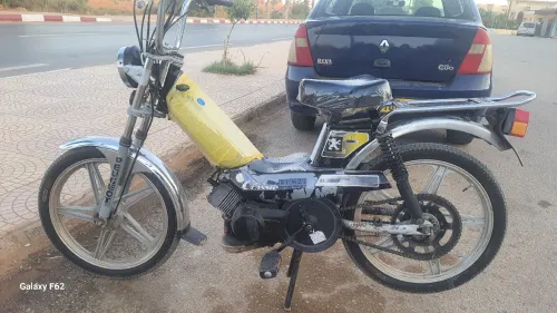 103 sp Sp 2024