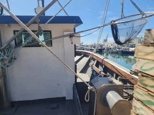 Sardinier