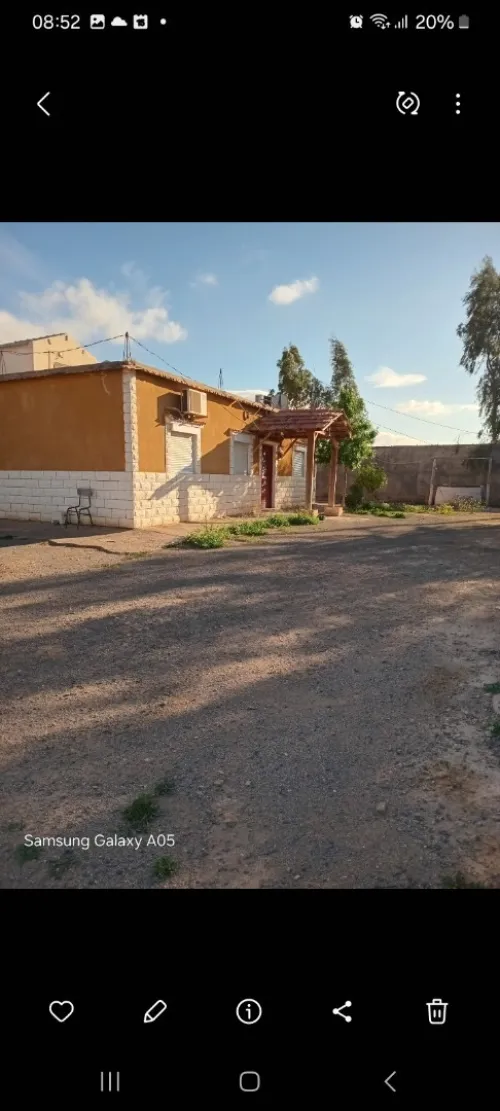 Vente Terrain Agricole Sidi Bel Abbès Amarnas