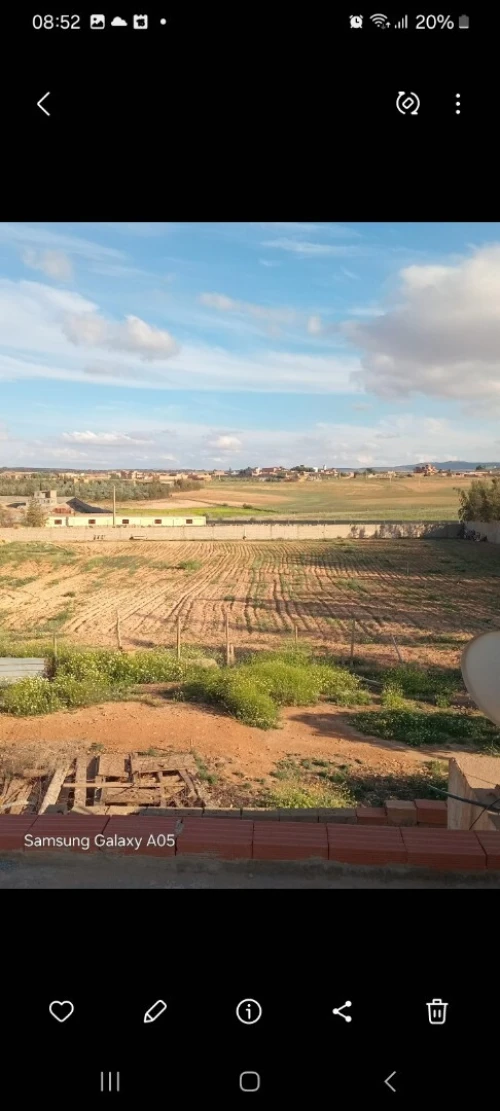 Vente Terrain Agricole Sidi Bel Abbès Amarnas