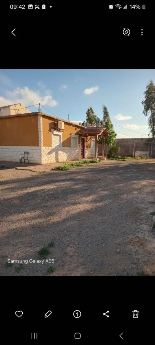 Vente Terrain Sidi Bel Abbès Amarnas