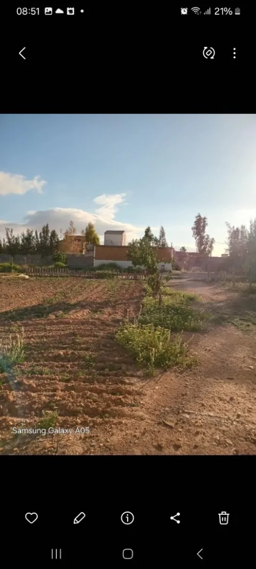 Vente Terrain Agricole Sidi Bel Abbès Amarnas