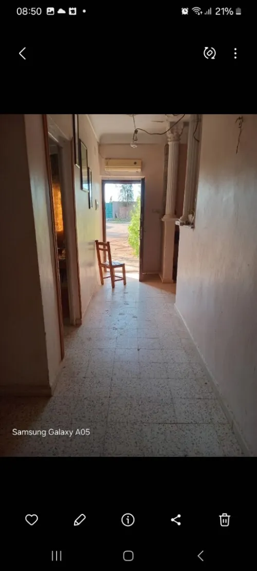 Vente Terrain Agricole Sidi Bel Abbès Amarnas