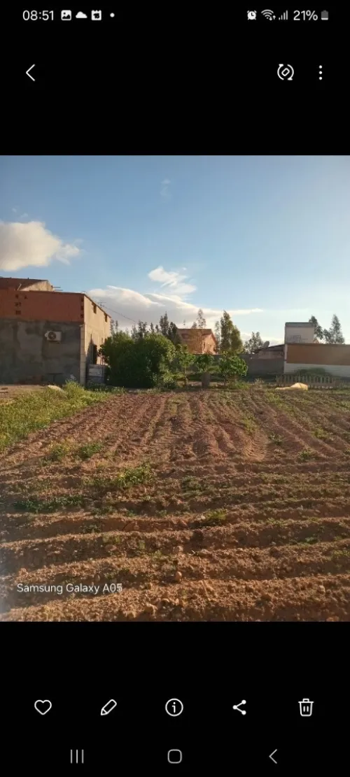 Vente Terrain Agricole Sidi Bel Abbès Amarnas