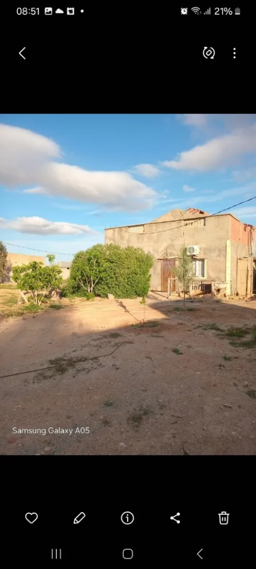 Vente Terrain Agricole Sidi Bel Abbès Amarnas