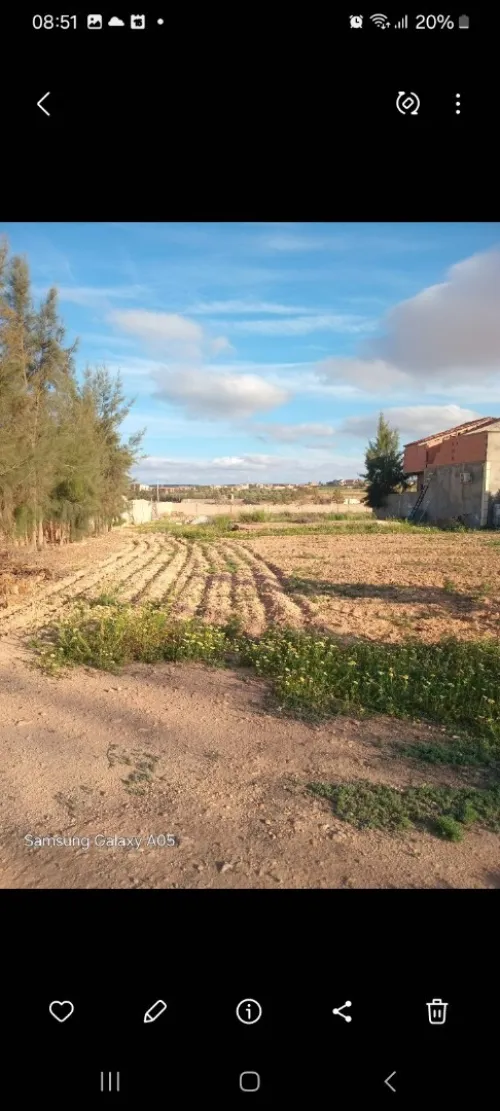 Vente Terrain Agricole Sidi Bel Abbès Amarnas