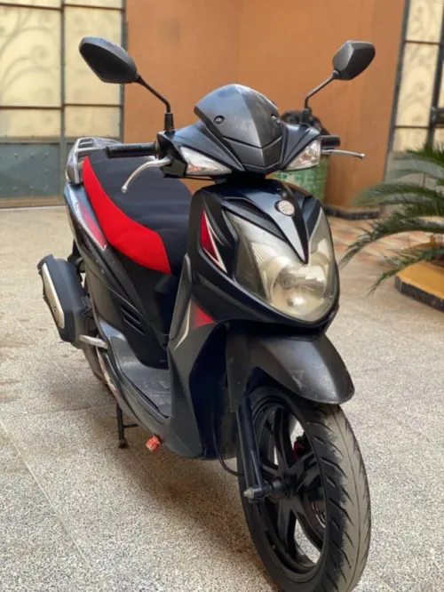 Sim Sr 2019