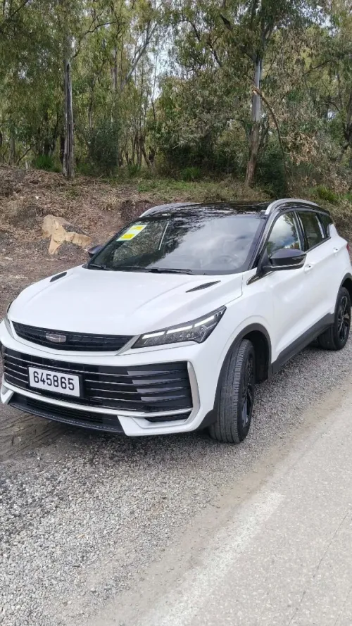 Geely Coolray 2025 Fouls options