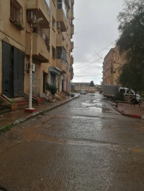 Location Local Tipaza Bou ismail