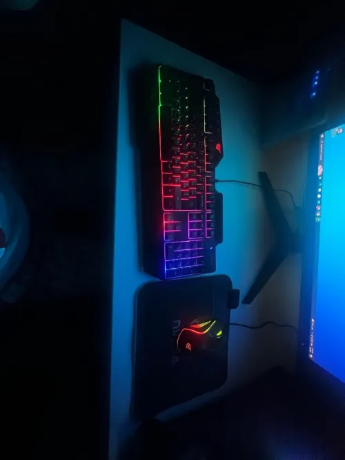 Clavier avec souris avec tapis havit (avec les boites)