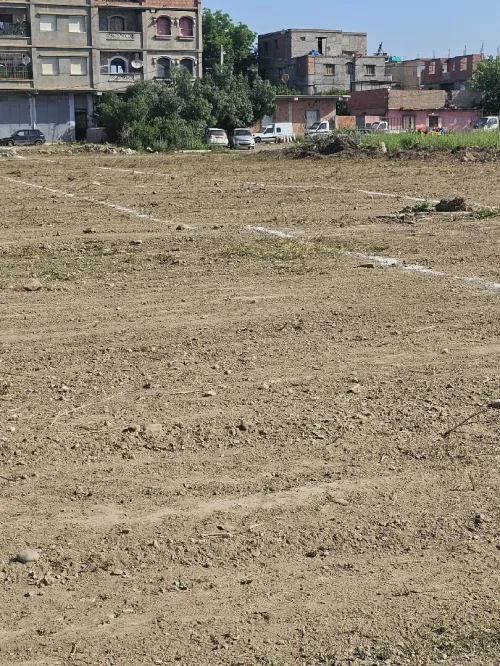 Vente Terrain Alger Sidi moussa
