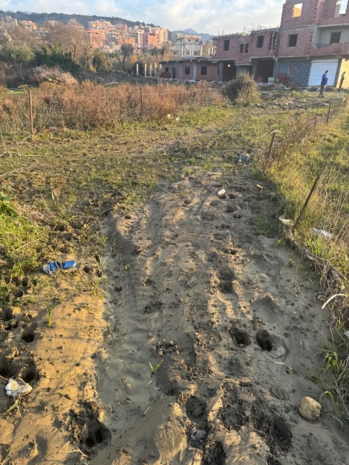 Vente Terrain Jijel El aouana