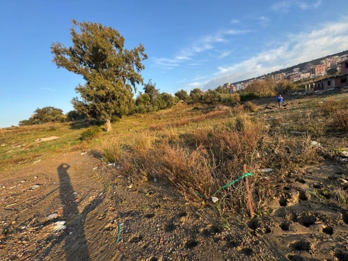 Vente Terrain Jijel El aouana