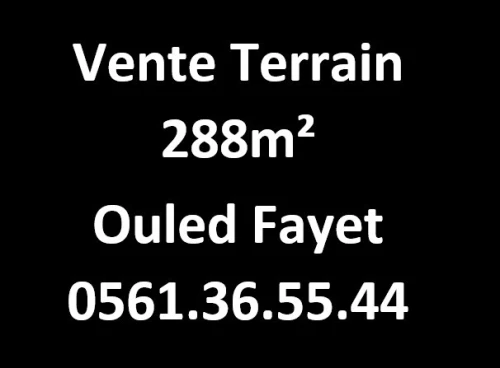 Vente Terrain Alger Ouled fayet