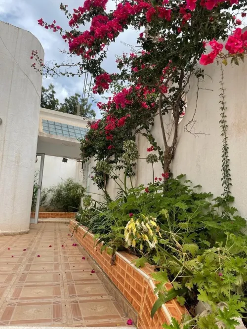 Vente Villa Alger Hydra