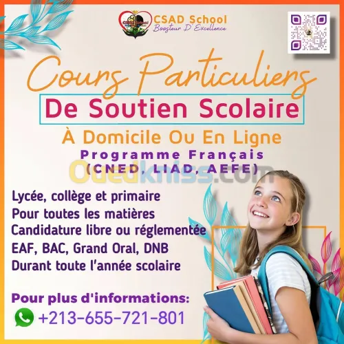 Cours Particuliers De Soutien Scolaire À Domicile Ou En Ligne Programme Français(CNED, LIAD, AEFE) 