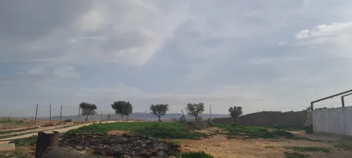 Vente Terrain Agricole Tlemcen Hennaya