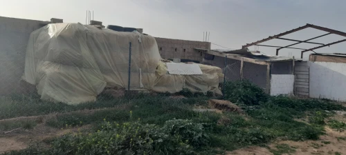Vente Terrain Agricole Tlemcen Hennaya