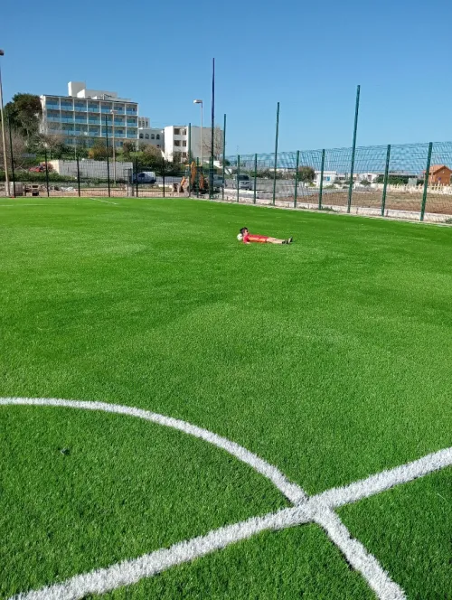 Terrain matico