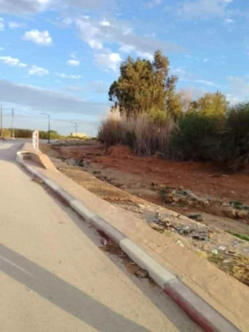 Vente Terrain Djelfa Ain el ibel