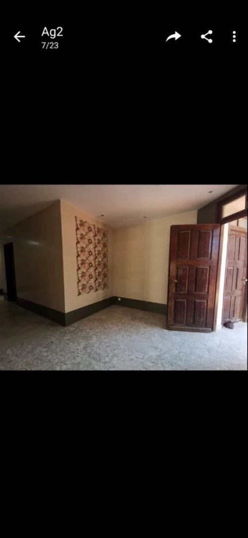 Location bien immobilier Alger Saoula