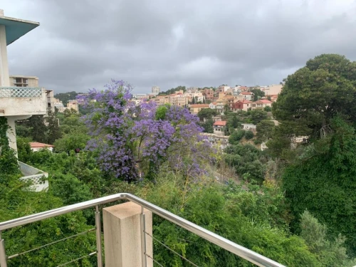 Location Villa Alger Hydra