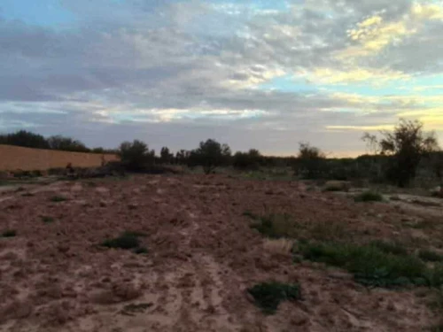 Vente Terrain Djelfa Ain el ibel