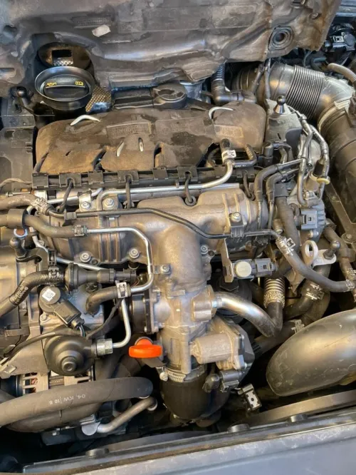 Volkswagen Passat 2010 Passat