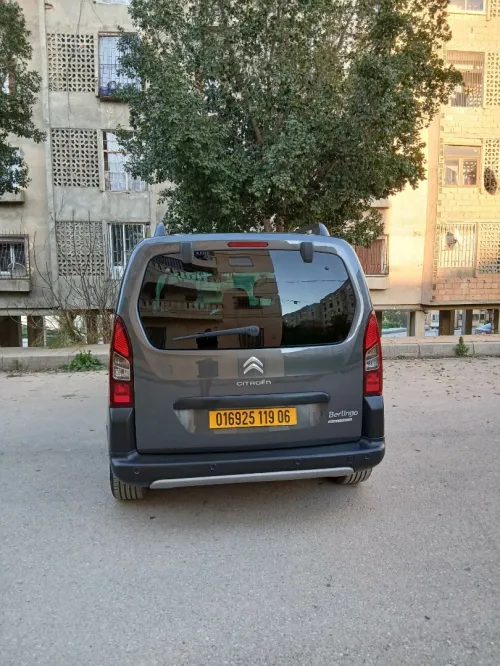 Citroen Berlingo 2019 Berlingo