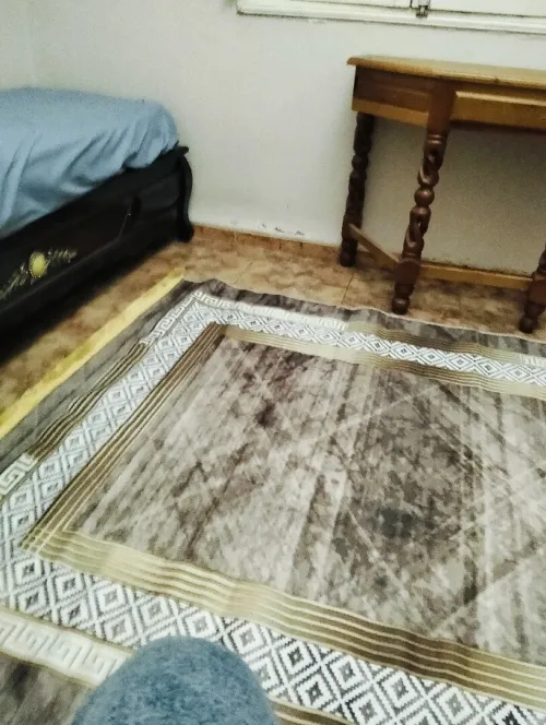 Location Appartement F3 Alger Dely brahim