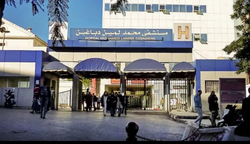 Location Appartement F2 Alger Bab el oued