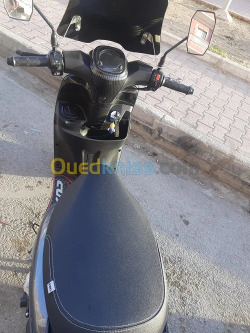 Vms Vms 2023