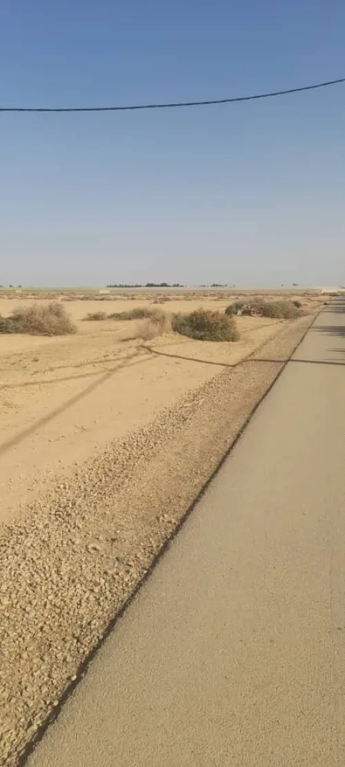 Vente Terrain Agricole Biskra Ain naga