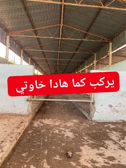 Vente Hangar Skikda Oued zehour
