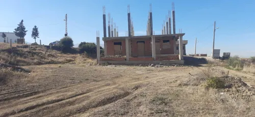 Vente Terrain Blida Bouinan