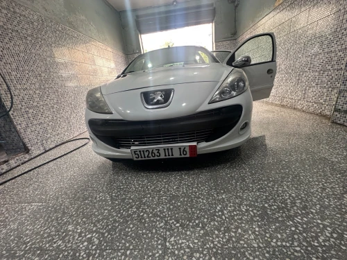 Peugeot 206 Plus 2011 206 plus
