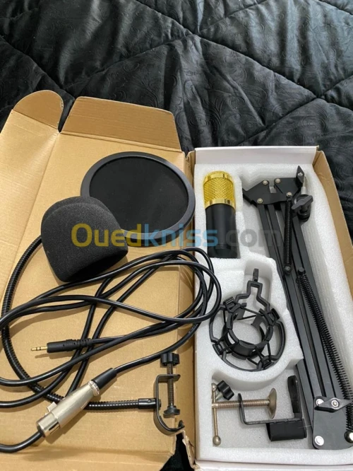 Microphone professionnel A